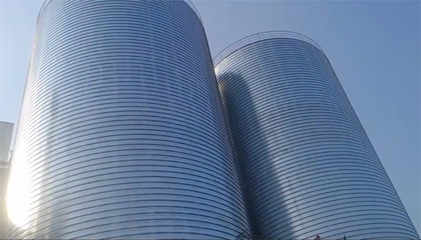 新沂2座混凝土高架卷板仓